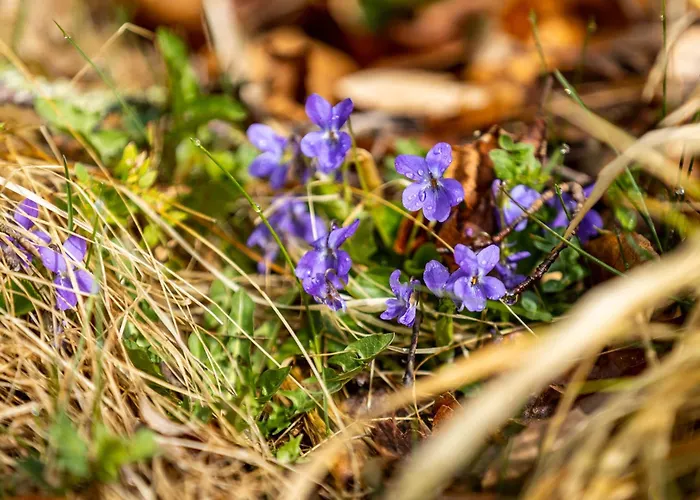 Gut Neuwerk Feriehus
